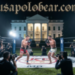 UFC Fight White House: The Shocking Political Power Move You Can’t Ignore in 2026